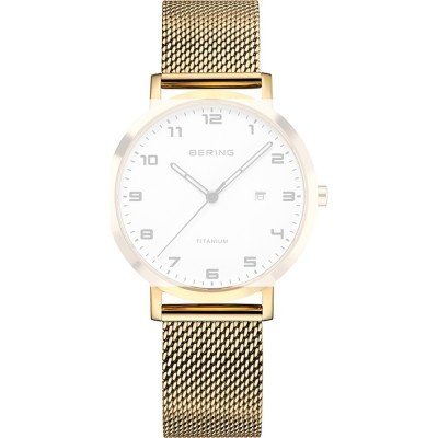 Bering PT-A18634S-BMGX Titanium Band