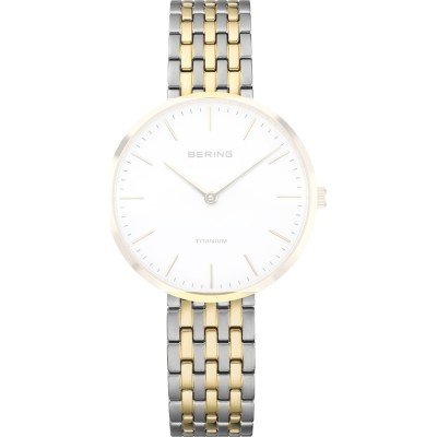 Bering PT-A19334T-BTCG Titanium Band