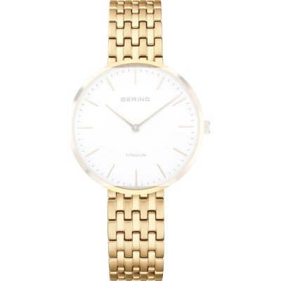 Bering PT-A19334T-BTG Titanium Band