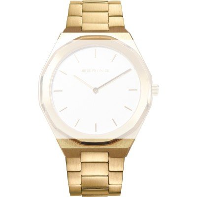 Bering PT-A19641S-BSG Classic Band