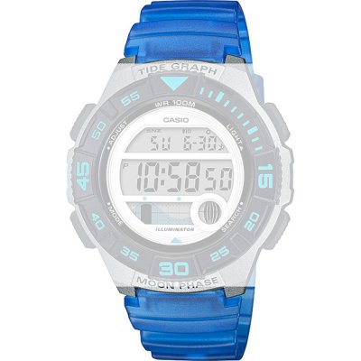 Casio 10592725 Collection Women Band