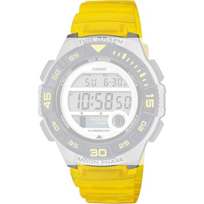 Casio 10592727 Collection Women Band