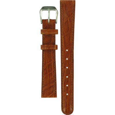 Certina C600006909 Ds Professional Band