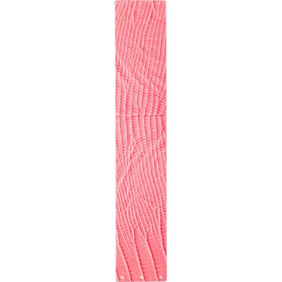 D & G D&G Straps F360002195 3719251655 Band