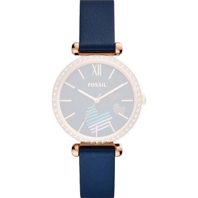 Fossil ABQ3855 Tillie Band