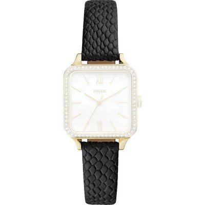 Fossil ABQ3918 Colleen Band