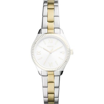 Fossil ABQ3927 BQ3927 Rye Band