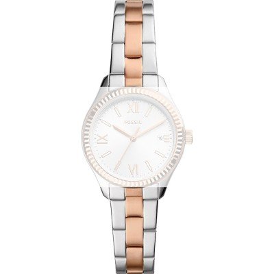 Fossil ABQ3928 BQ3928 Rye Band