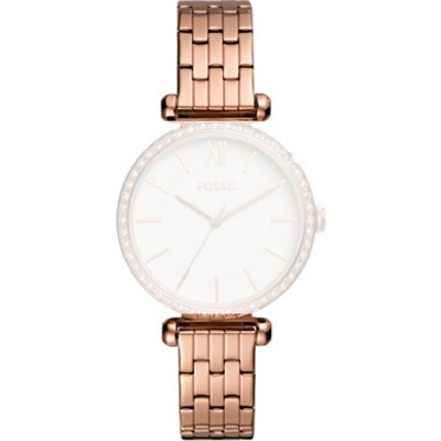 Fossil Straps ABQ3497 BQ3497 Tillie Band