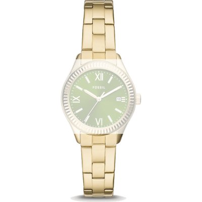 Fossil Straps ABQ3634 BQ3634 Rye Band