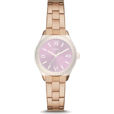 Fossil Straps ABQ3636 BQ3636 Rye Band