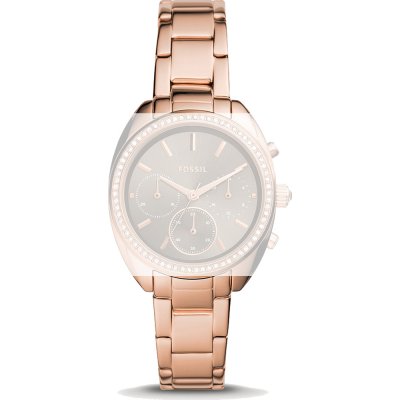Fossil Straps ABQ3728 BQ3659 Vale Band