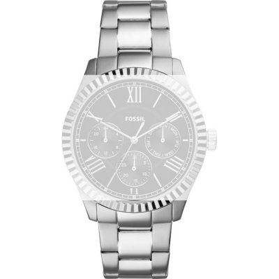 Fossil Straps AFS5631 FS5631 Chapman Band