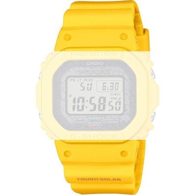 G-Shock 10667588 Charles Darwin Foundation - Galapagos Giant Tortoise Band