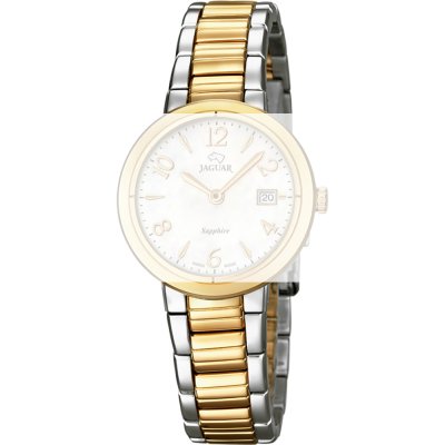 Jaguar BA03843 J824 Band