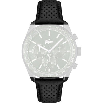 Lacoste 609303374 Boston Band