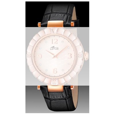 Lotus Straps BC08676 15912/C Band