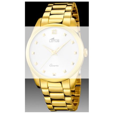 Lotus Straps BA03564 18143 Band
