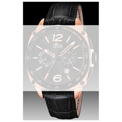 Lotus Straps BC08794 18217/3 Band