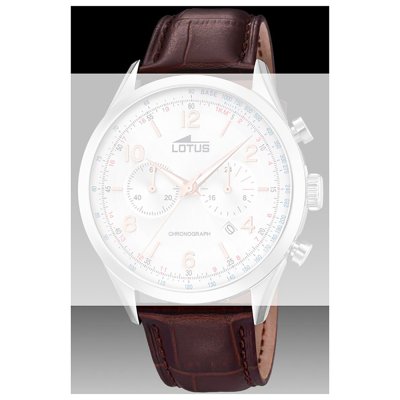 Lotus Straps BC09988 18557/1 Band