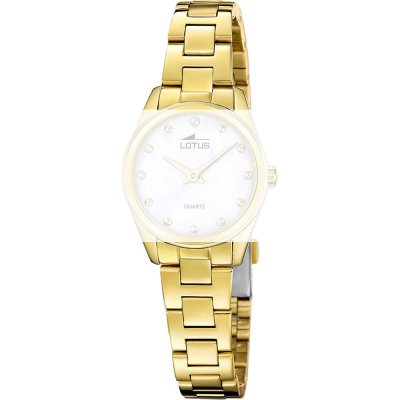 Lotus BA04950 Together Band