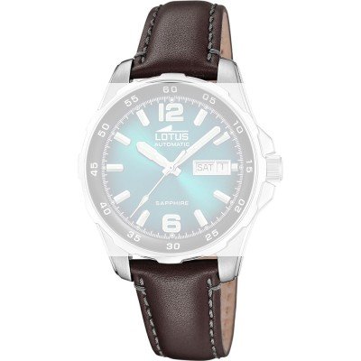 Lotus BC11880 Archive Band