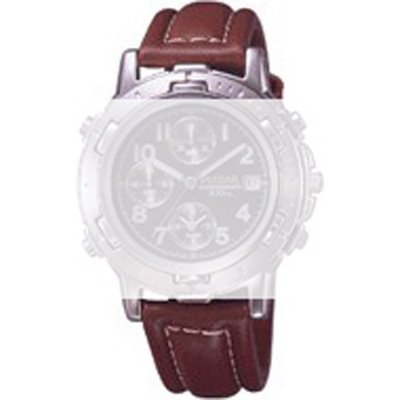 Pulsar Straps 7BP8JZ Band