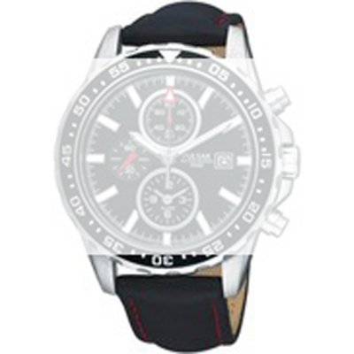 Pulsar Straps PN041X Band