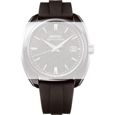 Seiko Astron straps DA421AZ Band